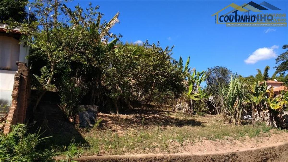 71_large_1500057740-IMG_20170714_111801143 (Small).jpg